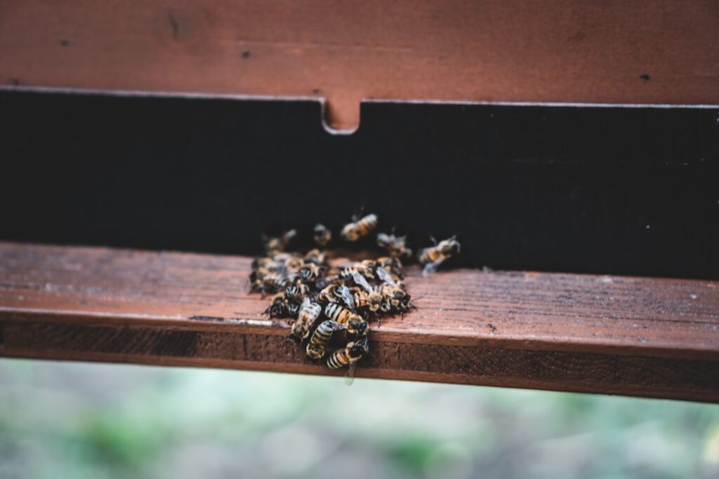 Self-Hosting LLMs vs Claude API: Cost Breakdown for Llama 3.1, Mistral, and Qwen self-hosting vs API cost — photo by Jonathan Kemper on Unsplash